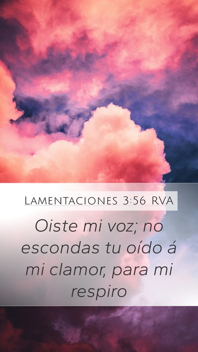Lamentaciones 3:56 RVA Mobile Phone Wallpaper - Oiste mi voz; no escondas tu oído á mi clamor, - Mobile Bible Verse Wallpaper