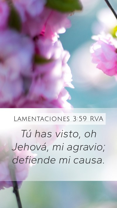 Lamentaciones 3:59 RVA Bible Verse Image
