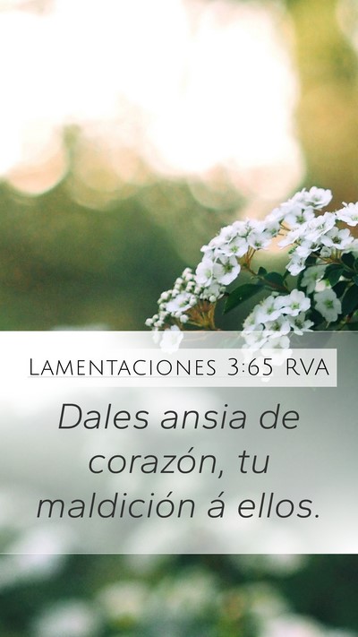 Lamentaciones 3:65 RVA Bible Verse Image