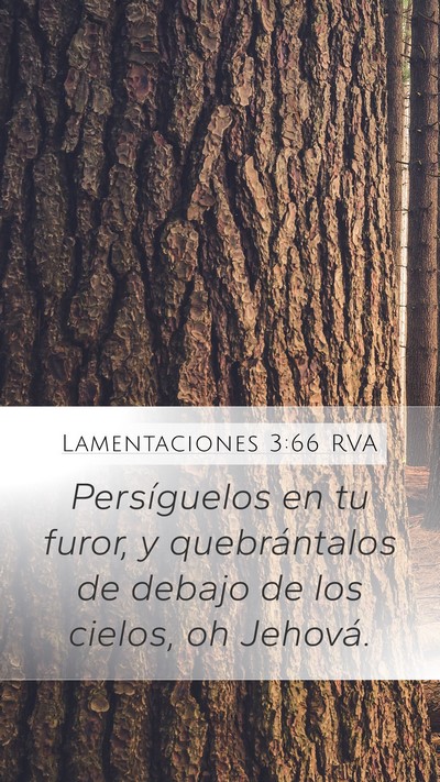 Lamentaciones 3:66 RVA Bible Verse Image