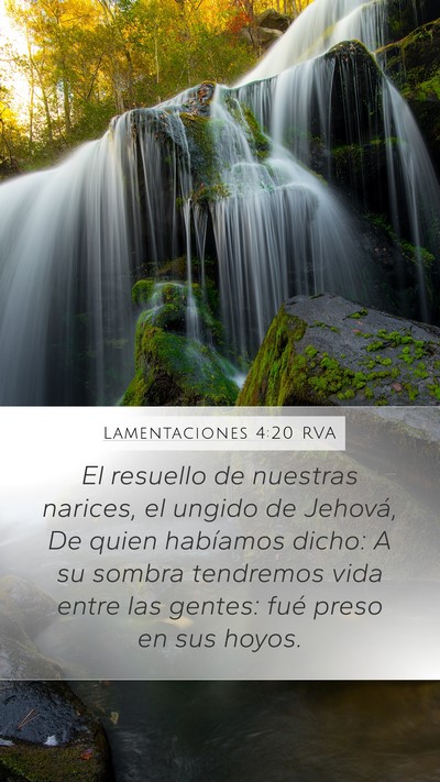 Lamentaciones 4:20 RVA Bible Verse Image