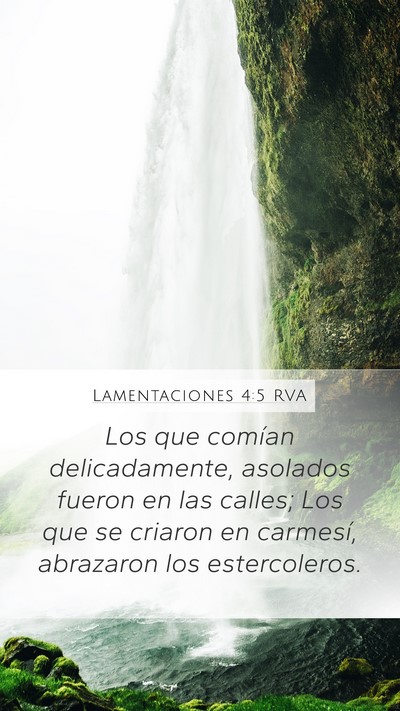 Lamentaciones 4:5 RVA Bible Verse Image