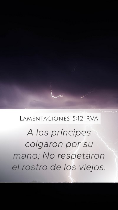 Lamentaciones 5:12 RVA Bible Verse Image