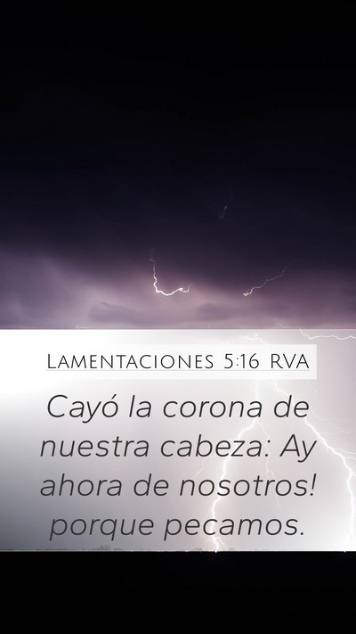 Lamentaciones 5:16 RVA Bible Verse Image