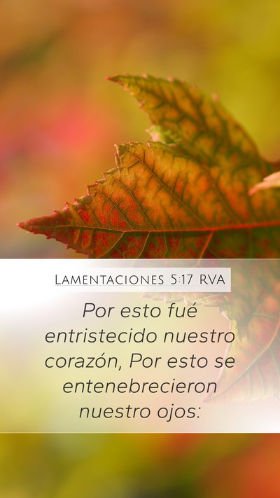 Lamentaciones 5:17 RVA Bible Verse Image