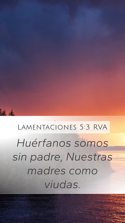 Lamentaciones 5:3 RVA Bible Verse Image