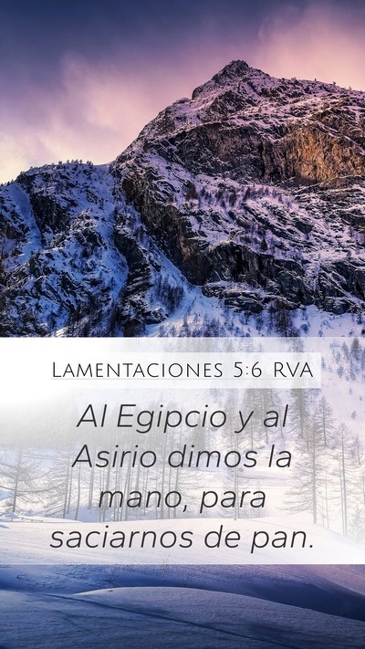 Lamentaciones 5:6 RVA Bible Verse Image