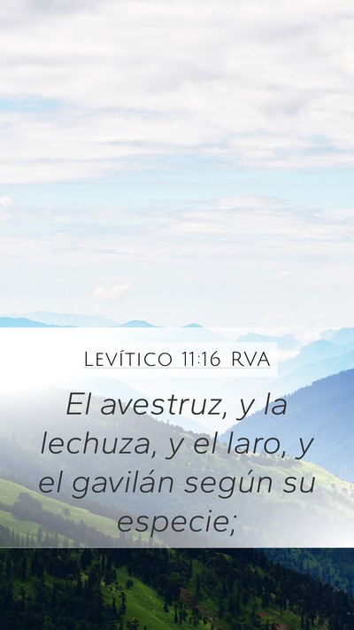 Levítico 11:16 RVA Mobile Phone Wallpaper - El avestruz, y la lechuza, y el laro, y el - Mobile Bible Verse Wallpaper
