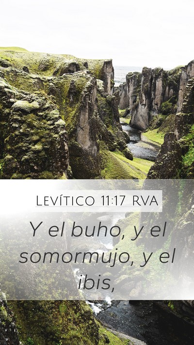 Levítico 11:17 RVA Mobile Phone Wallpaper - Y el buho, y el somormujo, y el - Mobile Bible Verse Wallpaper