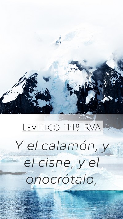 Levítico 11:18 RVA Mobile Phone Wallpaper - Y el calamón, y el cisne, y el - Mobile Bible Verse Wallpaper