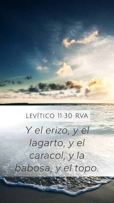 Levítico 11:30 RVA Mobile Phone Wallpaper - Y el erizo, y el lagarto, y el caracol, y la - Mobile Bible Verse Wallpaper
