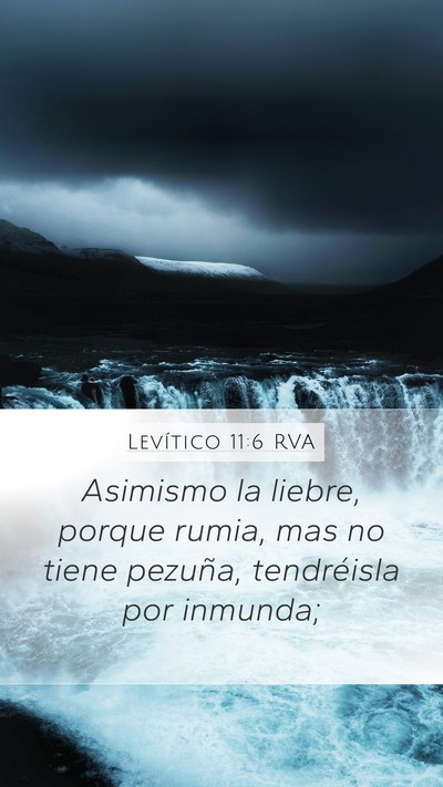 Levítico 11:6 RVA Mobile Phone Wallpaper - Asimismo la liebre, porque rumia, mas no tiene - Mobile Bible Verse Wallpaper