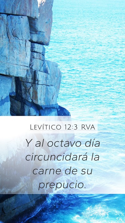 Levítico 12:3 RVA Bible Verse Image