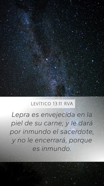 Levítico 13:11 RVA Mobile Phone Wallpaper - Lepra es envejecida en la piel de su carne; y le - Mobile Bible Verse Wallpaper
