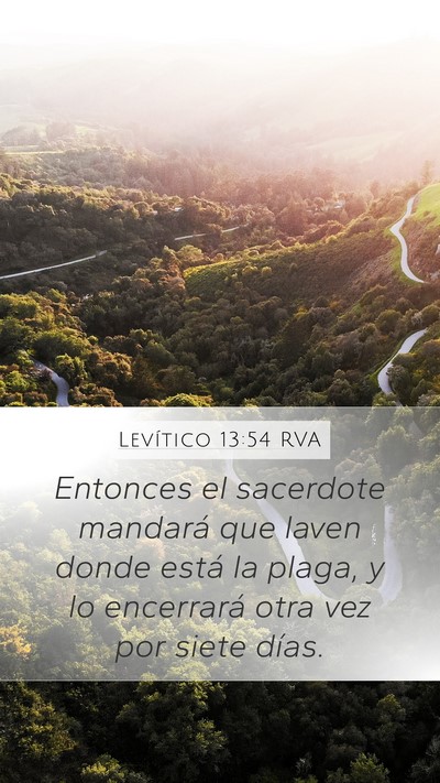 Levítico 13:54 RVA Mobile Phone Wallpaper - Entonces el sacerdote mandará que laven donde - Mobile Bible Verse Wallpaper