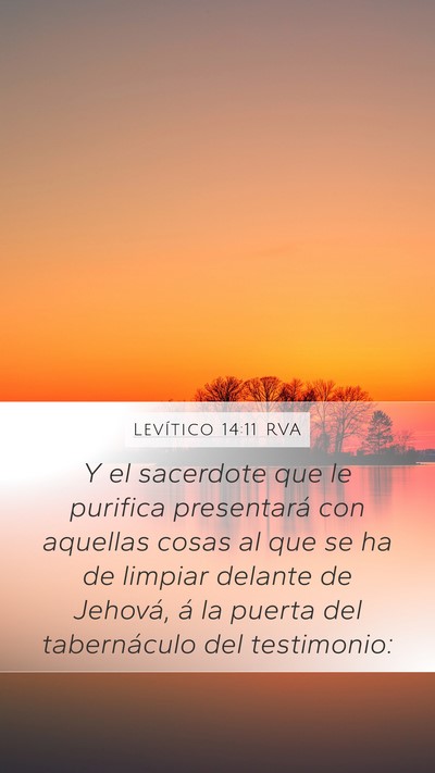 Levítico 14:11 RVA Mobile Phone Wallpaper - Y el sacerdote que le purifica presentará con - Mobile Bible Verse Wallpaper