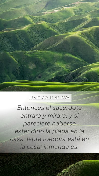 Levítico 14:44 RVA Bible Verse Image