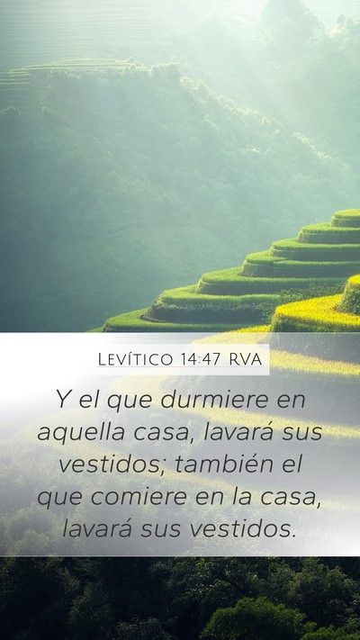 Levítico 14:47 RVA Mobile Phone Wallpaper - Y el que durmiere en aquella casa, lavará sus - Mobile Bible Verse Wallpaper