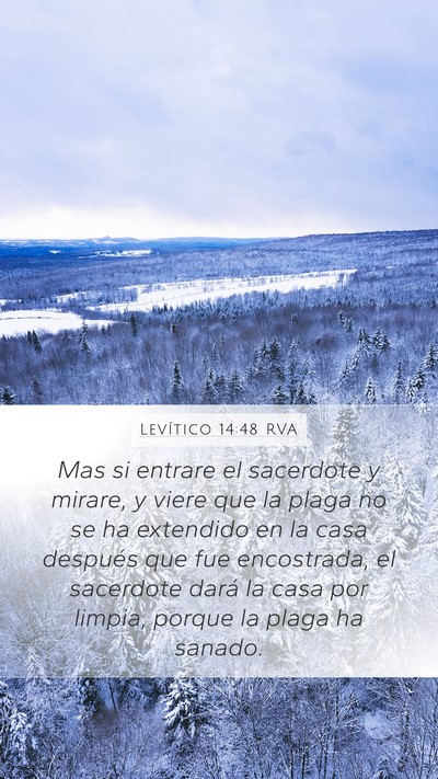 Levítico 14:48 RVA Mobile Phone Wallpaper - Mas si entrare el sacerdote y mirare, y viere que - Mobile Bible Verse Wallpaper