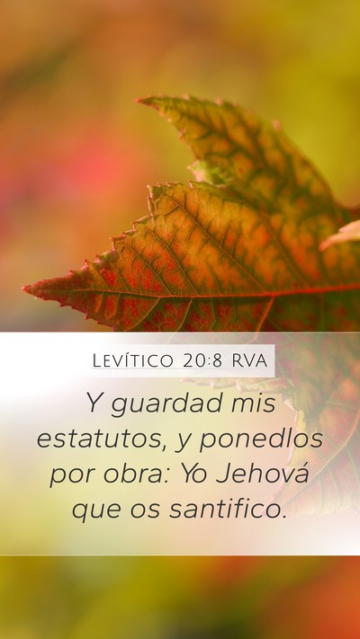 Levítico 20:8 RVA Bible Verse Image