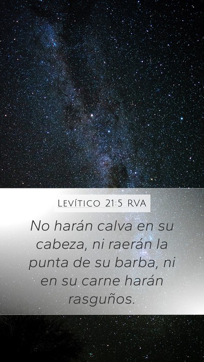 Levítico 21:5 RVA Bible Verse Image