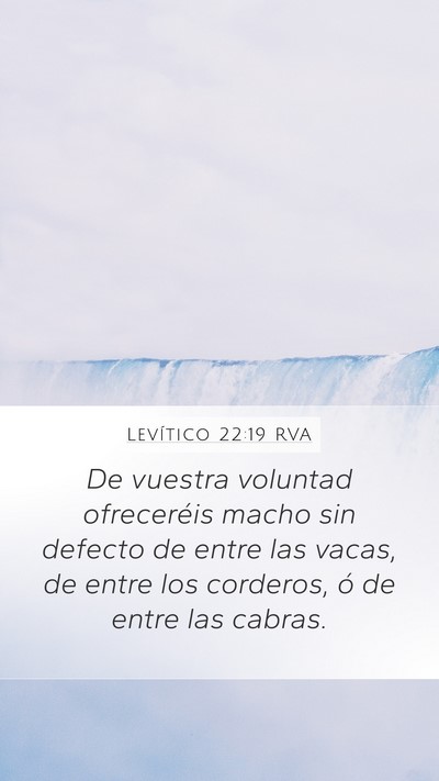 Levítico 22:19 RVA Bible Verse Image
