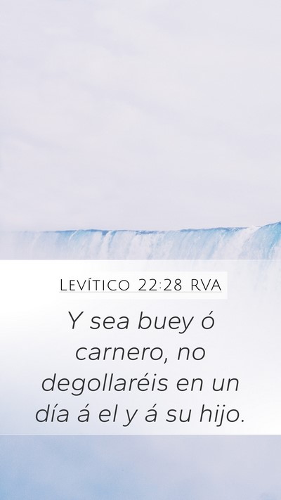 Levítico 22:28 RVA Bible Verse Image