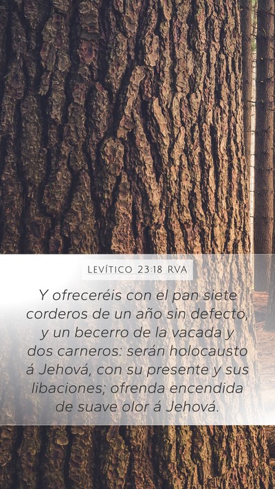 Levítico 23:18 RVA Mobile Phone Wallpaper - Y ofreceréis con el pan siete corderos de un - Mobile Bible Verse Wallpaper