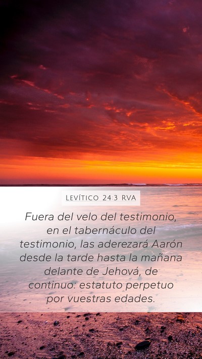 Levítico 24:3 RVA Bible Verse Image