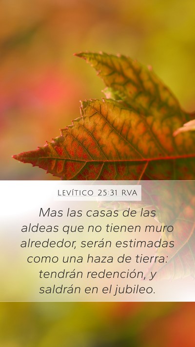 Levítico 25:31 RVA Bible Verse Image