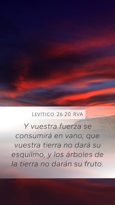 Levítico 26:20 RVA Bible Verse Image