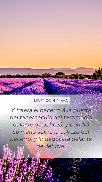 Levítico 4:4 RVA Mobile Phone Wallpaper - Y traerá el becerro á la puerta del - Mobile Bible Verse Wallpaper