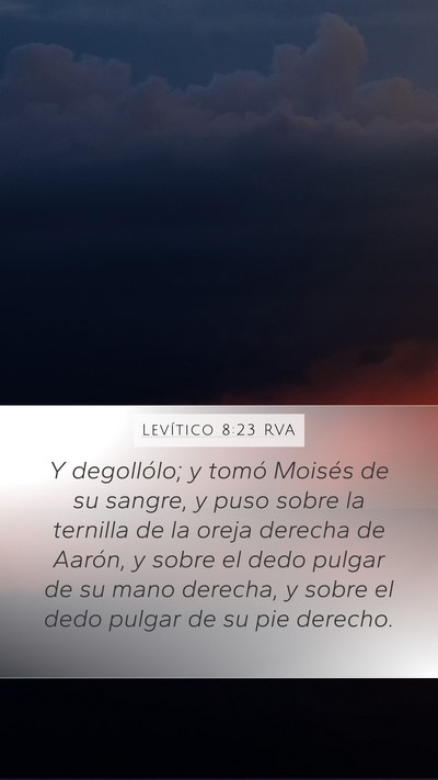 Levítico 8:23 RVA Mobile Phone Wallpaper - Y degollólo; y tomó Moisés de su sangre, y - Mobile Bible Verse Wallpaper