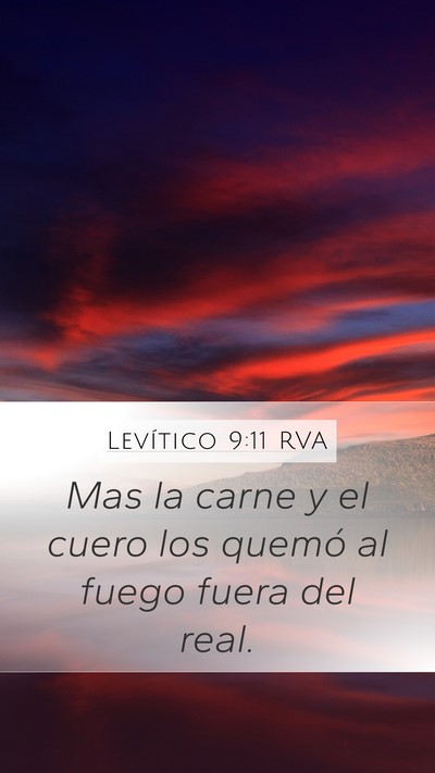 Levítico 9:11 RVA Bible Verse Image
