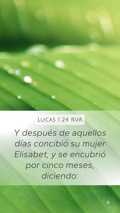 Lucas 1:24 RVA Bible Verse Image
