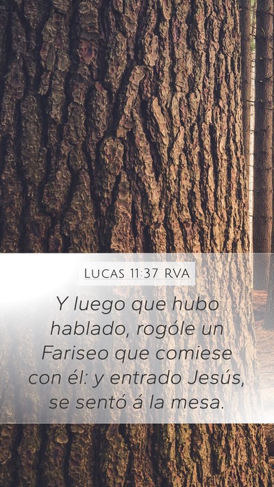 Lucas 11:37 RVA Bible Verse Image