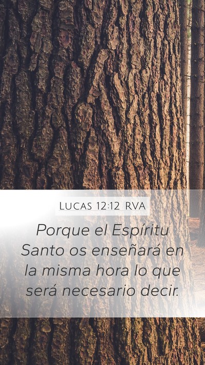 Lucas 12:12 RVA Bible Verse Image
