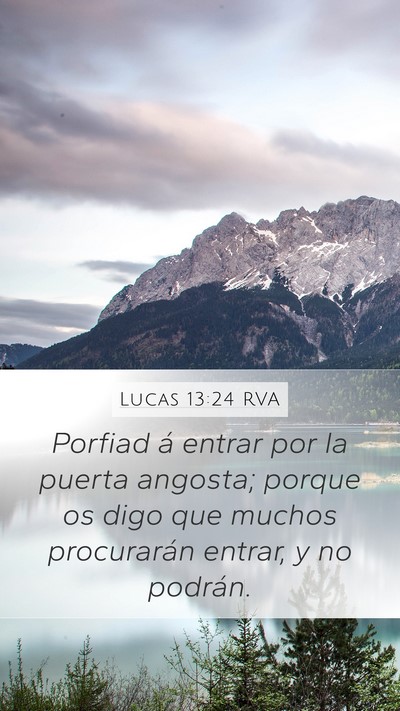 Lucas 13:24 RVA Bible Verse Image