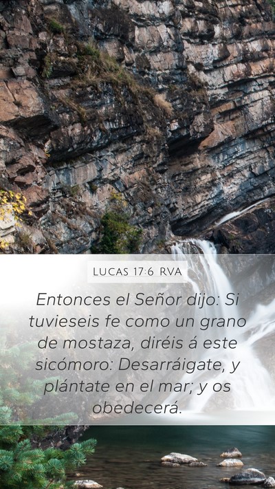 Lucas 17:6 RVA Mobile Phone Wallpaper - Entonces el Señor dijo: Si tuvieseis fe como un - Mobile Bible Verse Wallpaper