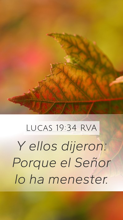 Lucas 19:34 RVA Bible Verse Image