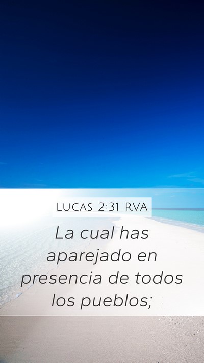 Lucas 2:31 RVA Mobile Phone Wallpaper - La cual has aparejado en presencia de todos los - Mobile Bible Verse Wallpaper