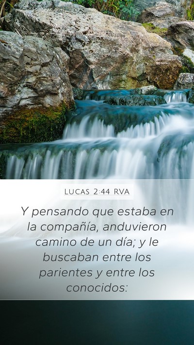 Lucas 2:44 RVA Mobile Phone Wallpaper - Y pensando que estaba en la compañía, - Mobile Bible Verse Wallpaper