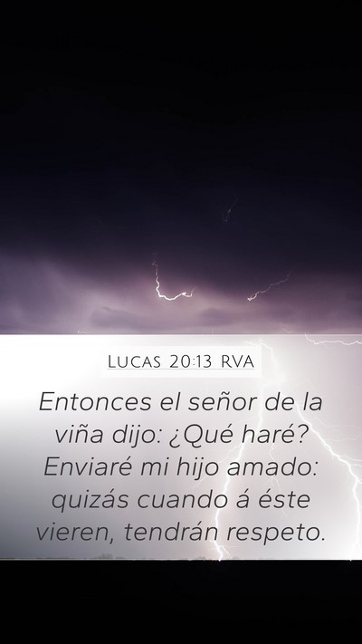 Lucas 20:13 RVA Bible Verse Image