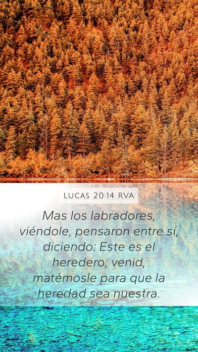 Lucas 20:14 RVA Bible Verse Image