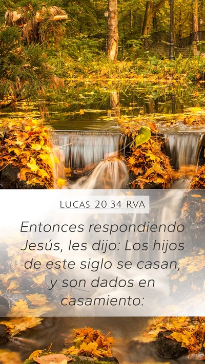 Lucas 20:34 RVA Bible Verse Image
