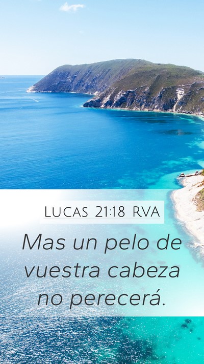 Lucas 21:18 RVA Bible Verse Image