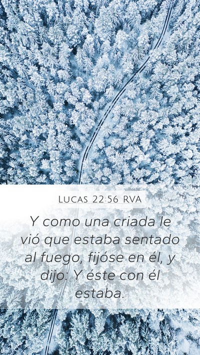 Lucas 22:56 RVA Bible Verse Image