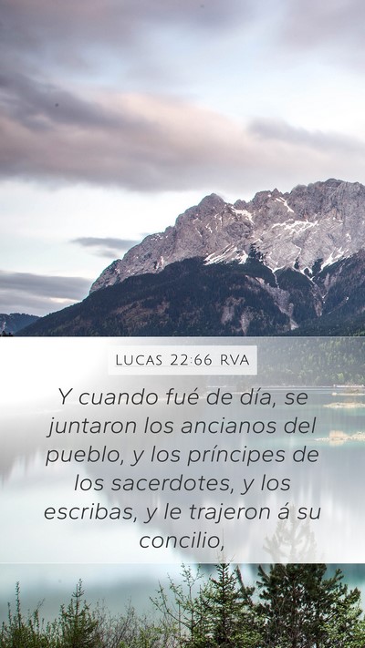 Lucas 22:66 RVA Bible Verse Image