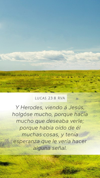 Lucas 23:8 RVA Bible Verse Image