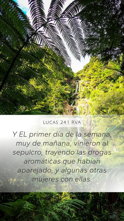 Lucas 24:1 RVA Bible Verse Image